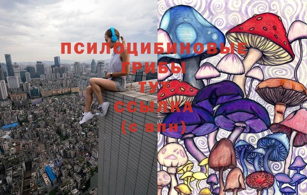 крисы Кукмор