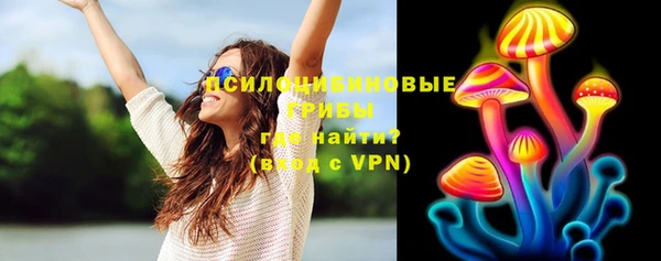 винт Костерёво