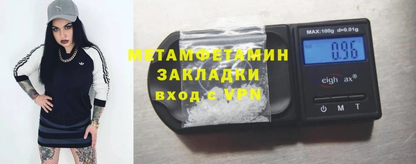 прущие грибы Куйбышев