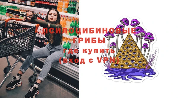прущие грибы Куйбышев