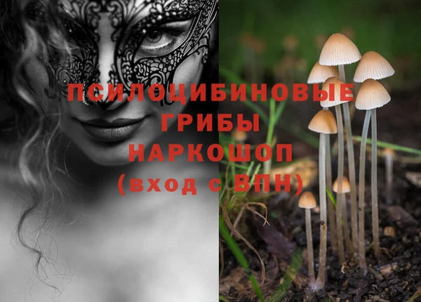 винт Костерёво