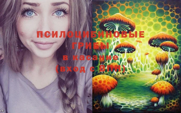 винт Костерёво