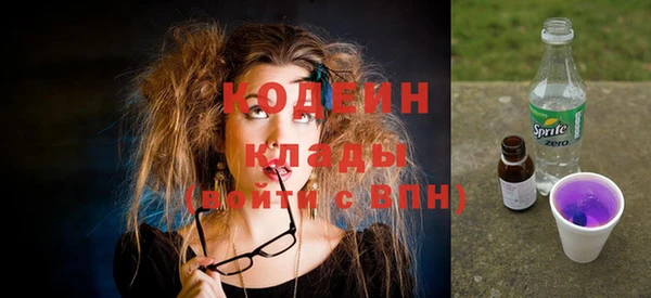 дживик Краснослободск